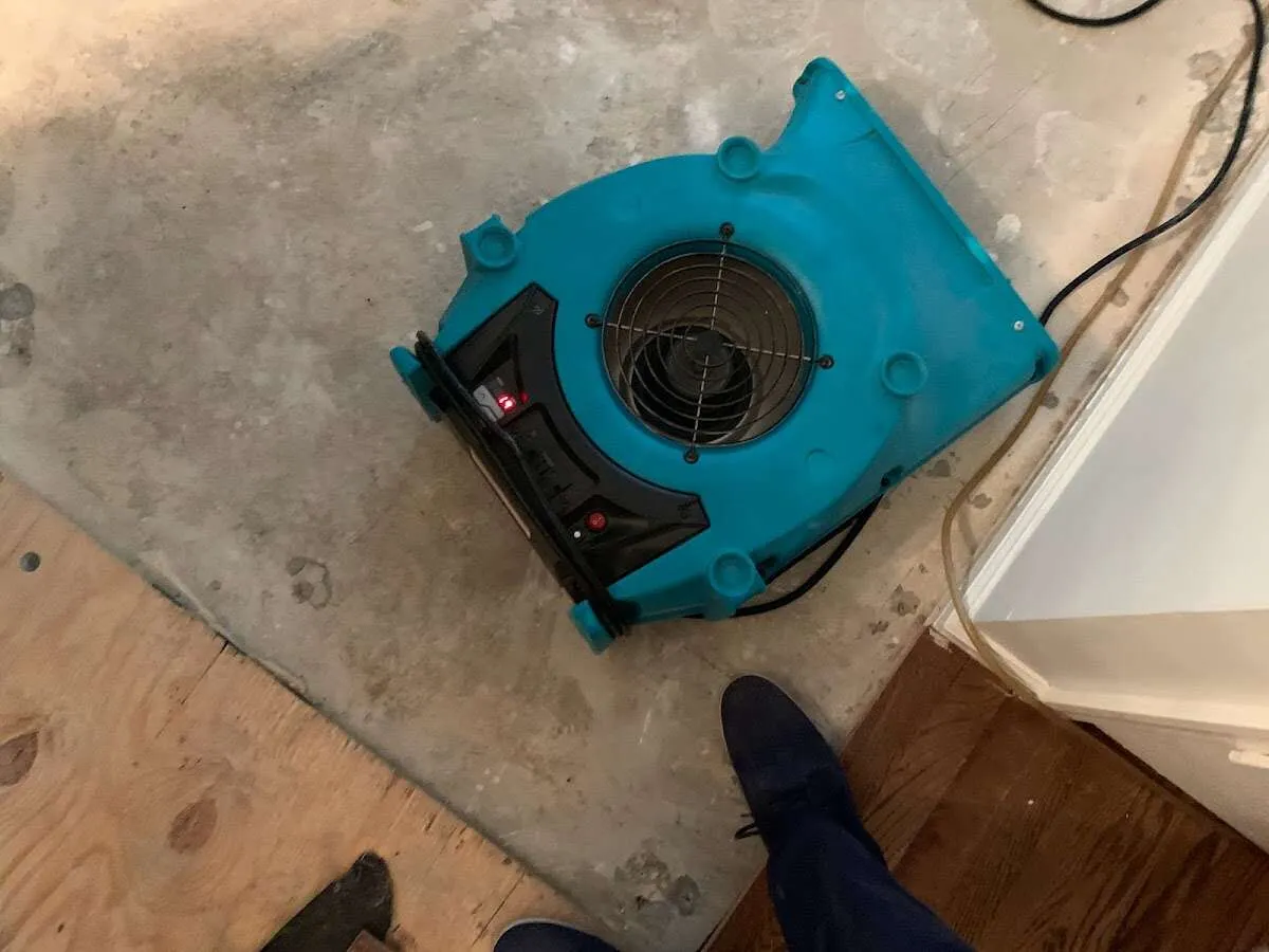 Air mover drying subfloor during Commercial Water Damage Restoration in Mission